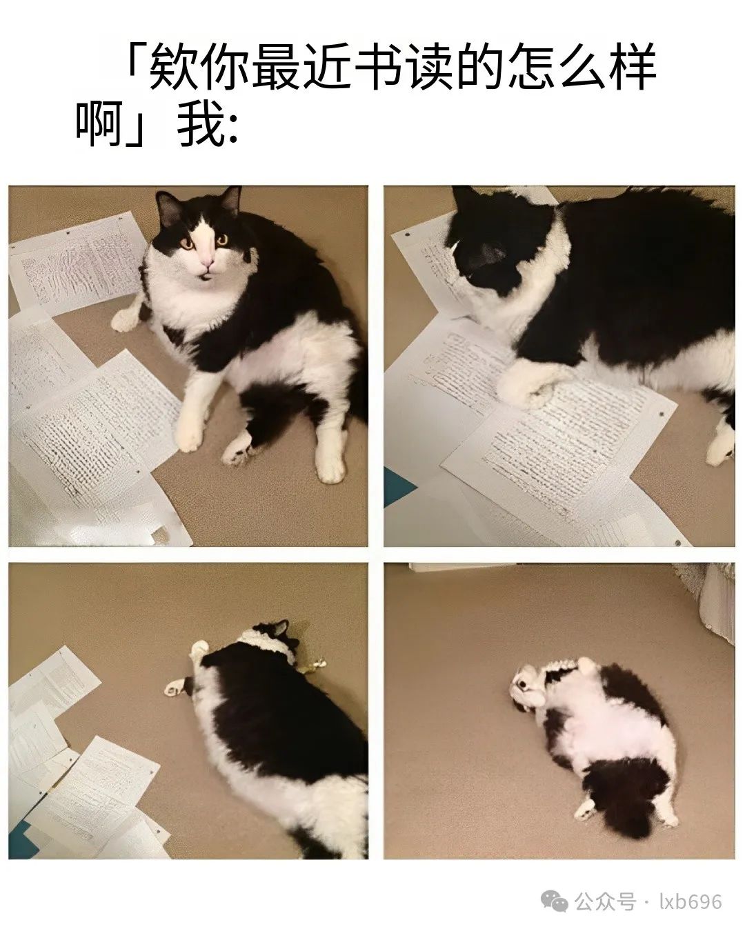 Word文档图片