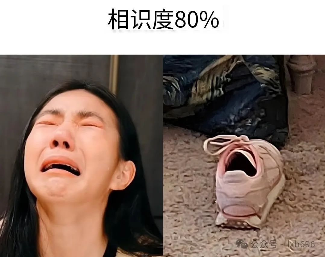 Word文档图片