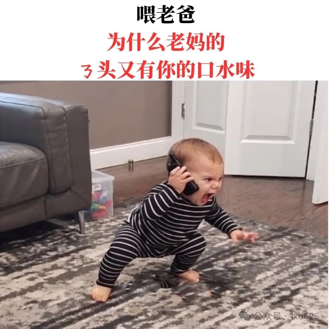 Word文档图片
