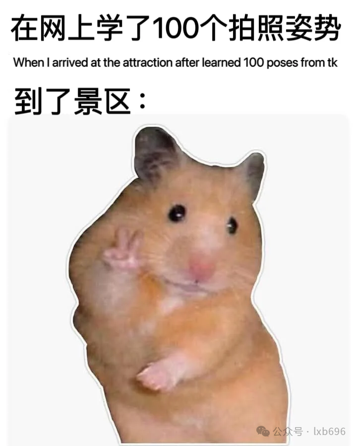 Word文档图片