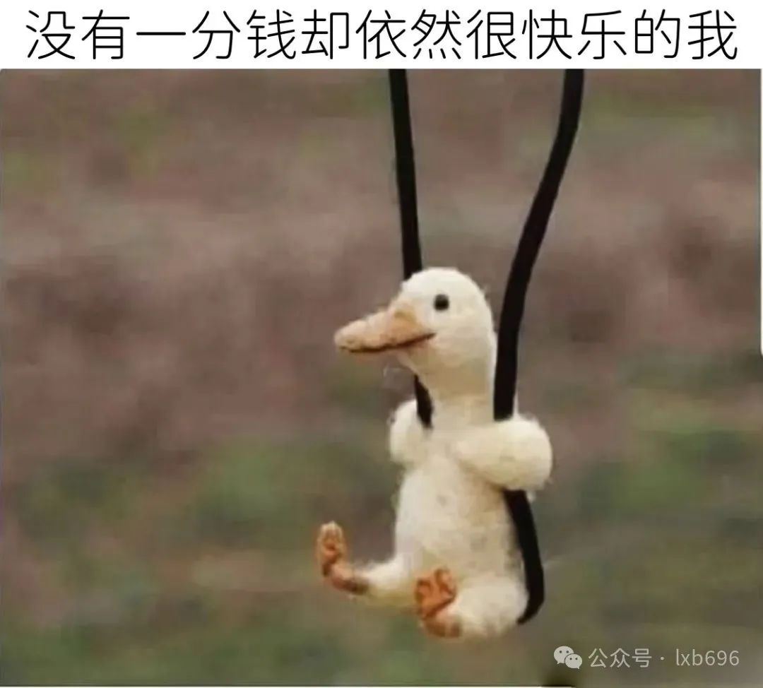 Word文档图片