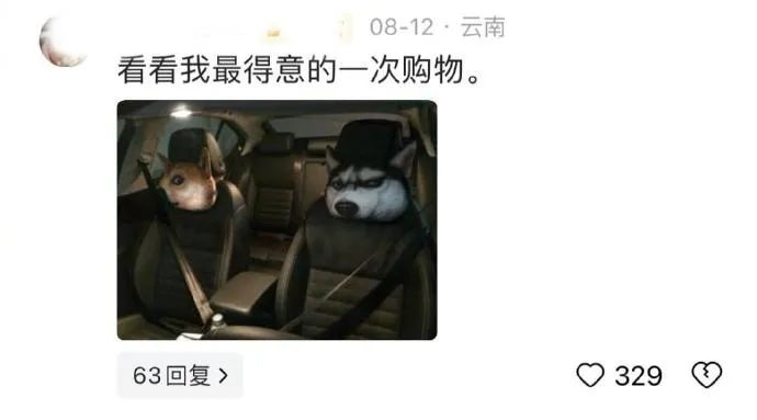 Word文档图片